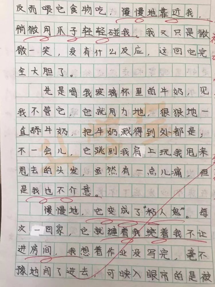 人教版小学二年级上册语文先学后教当堂训练表格式教案_小学五年级语文上册教案表格式_北师大版六年级语文上册表格式教案