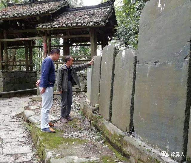 锦屏绿色王国—文斗村,古木成林得益于200年的传承文化