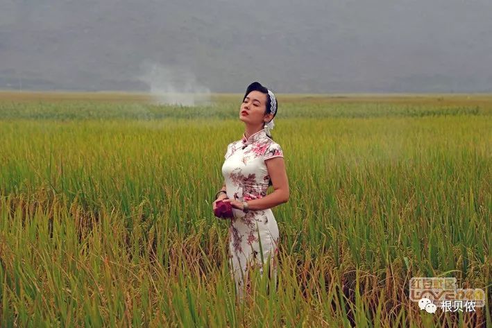 下同) 吴强讲授"不忘初心 牢记使命"主题教育专题党课 天等县召开安全