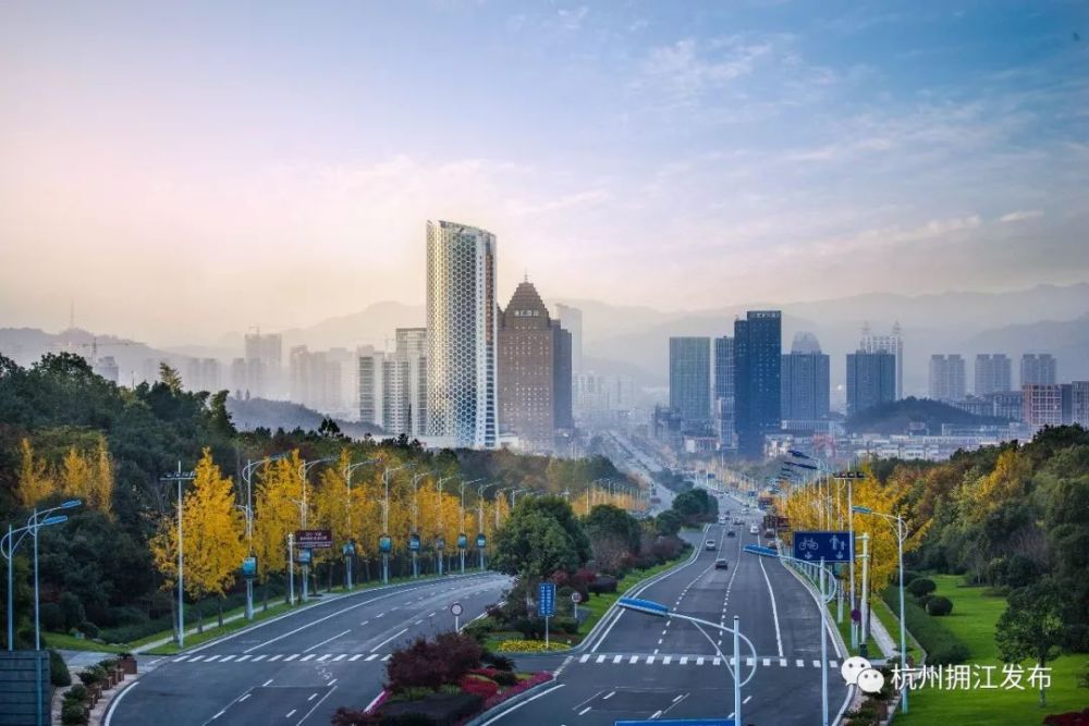 银杏已黄,大杭州好一个金色钱塘!