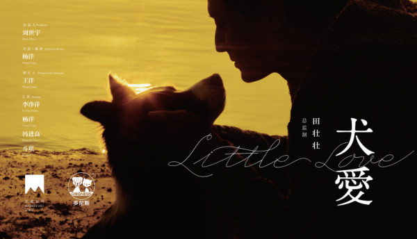 《犬爱》定档11月22日 比大爱多一点的爱