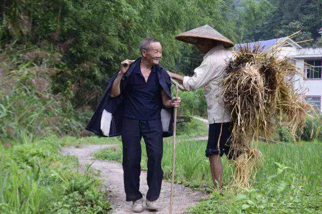 很多的城市老人向往农村的日子,那么农村老年人最在乎
