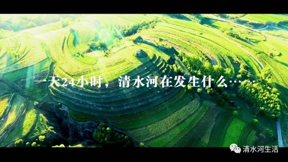 清水河24小时 自动播放  进入广告 广告被拦截插件误伤啦, 1秒后播放