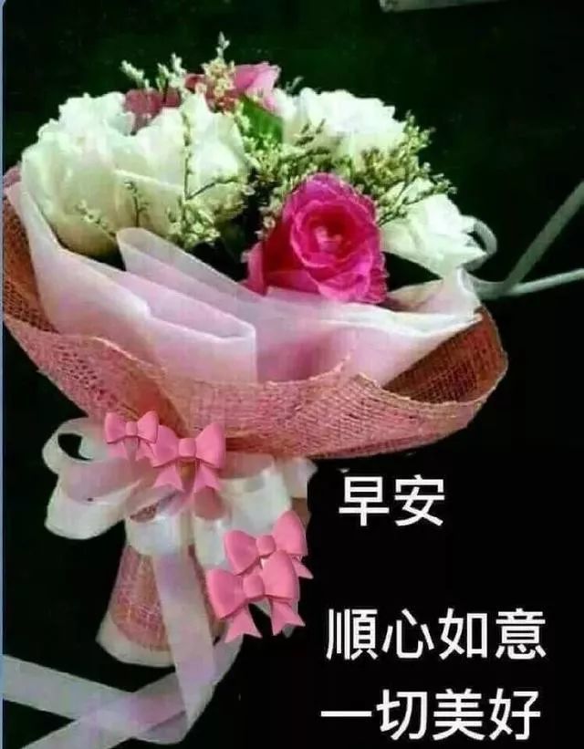 社区早上好祝福大全,日出早上好图片大全集 11月13日最新清晨早安问候动态表情图片 最美早上好祝福美图动态