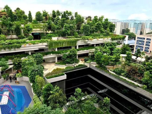 花园城市新加坡的立体绿化(上)