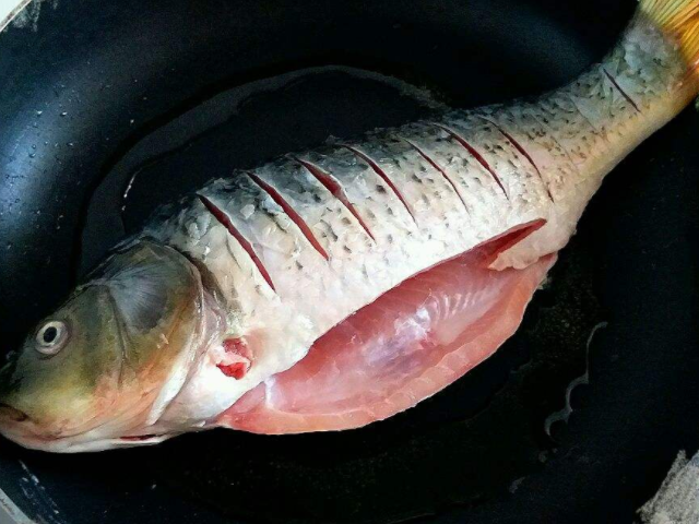 鲤鱼