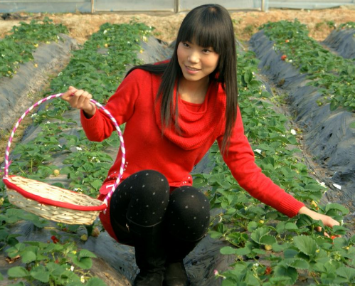 为何现在都喜欢娶农村女孩当媳妇?看了以后,网友:我也心动了!