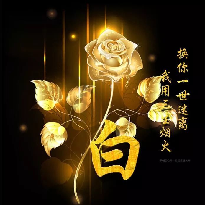150朵玫瑰花,150张姓氏头像,有红玫瑰,白玫瑰,金玫瑰
