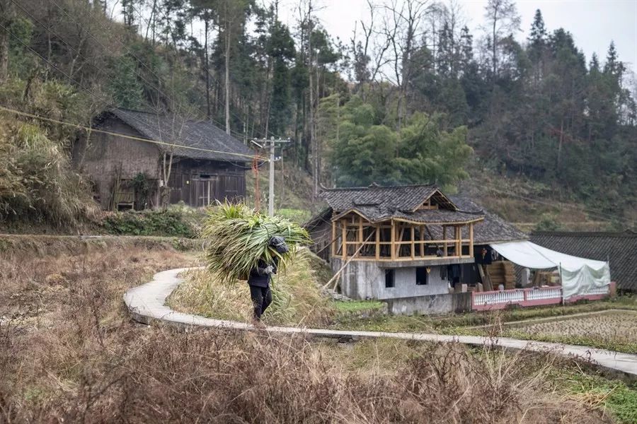 湘西十八洞村老照片征稿活动倒计时3天截稿!