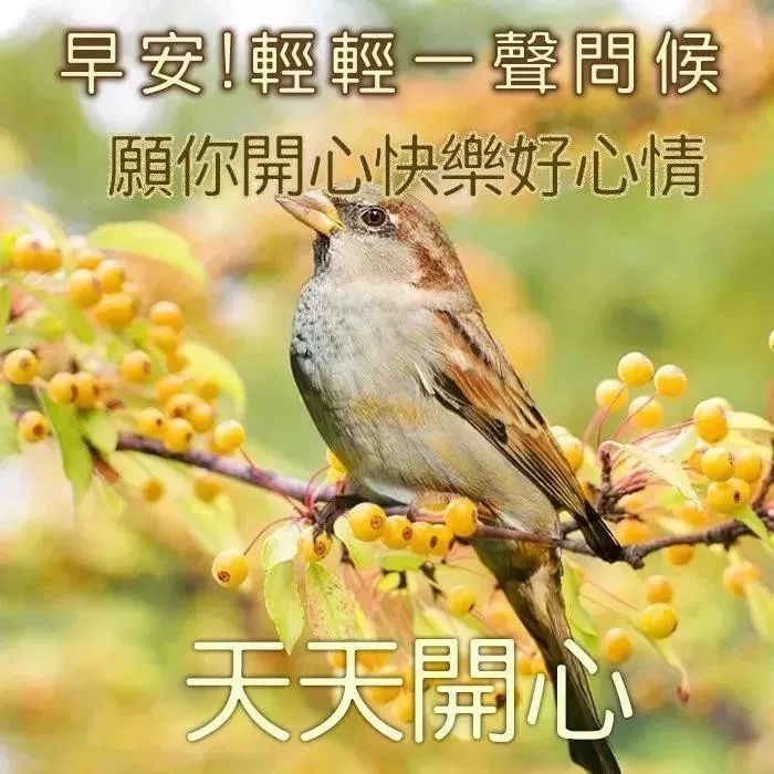 大年初四清晨早上好问候祝福动态表情图片虎年微信短信最新早安问候语