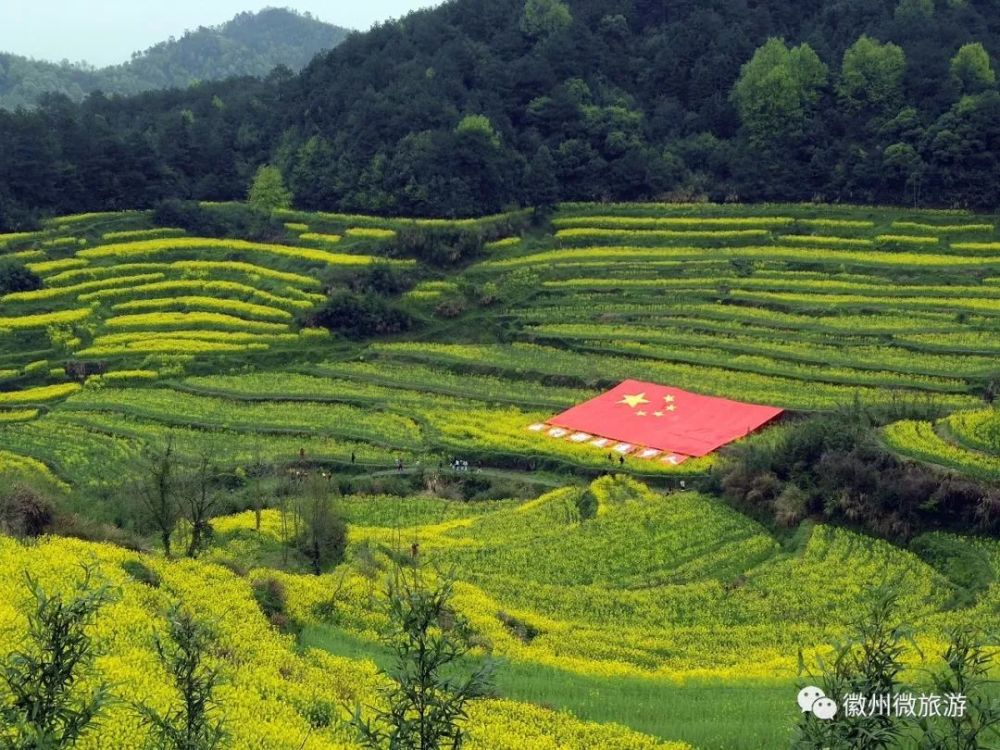一步一景的呈灵潜旅游公路,有颜值有内涵美翻啦!