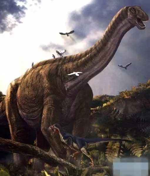 【未解之谜】地球史上体型最大的五种恐龙排行!