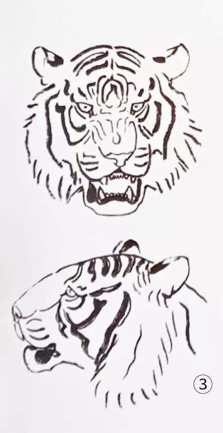 书画联盟丨写意老虎的画法
