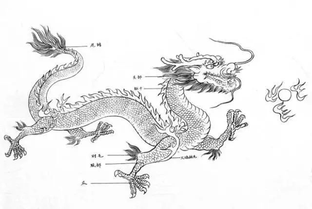 白描龙谱的画法素材