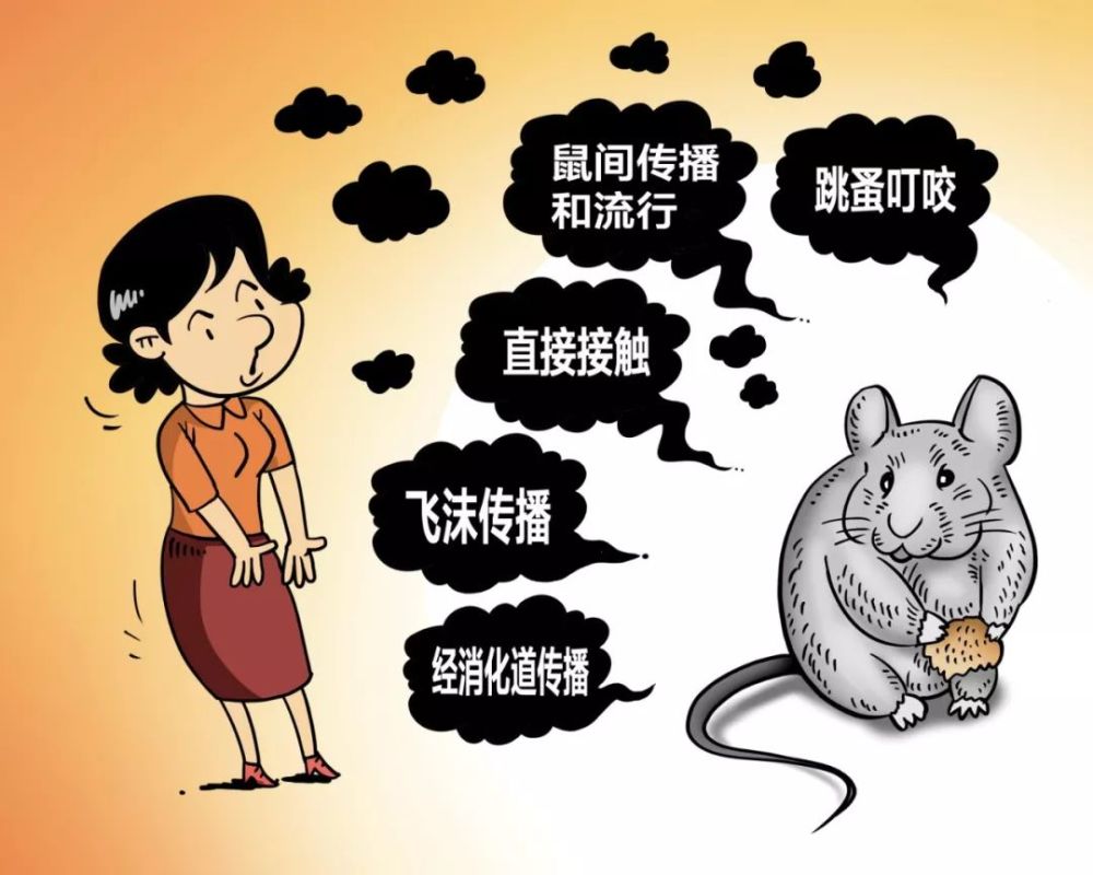 这12个有关鼠疫的疑问你需要知道