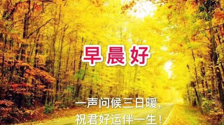 天冷了的早安祝福语录,2019天气变冷了的最新祝福语精选