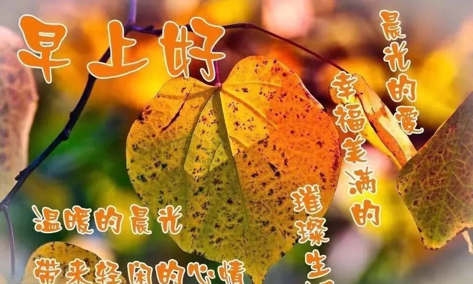 天冷了的早安祝福语录,2019天气变冷了的最新祝福语精选