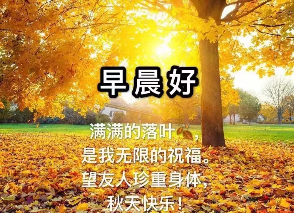 天冷了的早安祝福语录,2019天气变冷了的最新祝福语精选