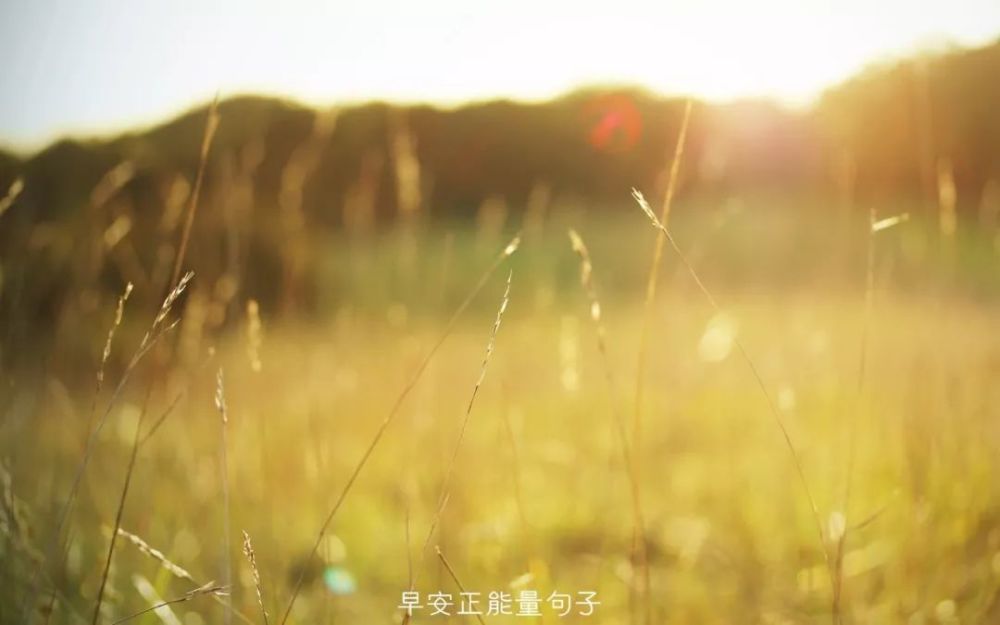 早安心语正能量语录 早安心语阳光唯美句子