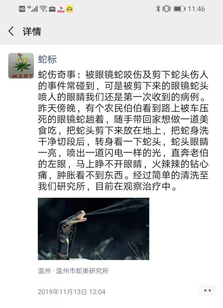 男子捡了一条被轧死的眼镜蛇回家,剪蛇头时看了它一眼,竟差点失明!