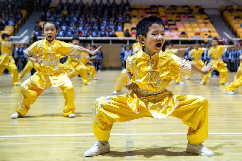 学生武术表演.