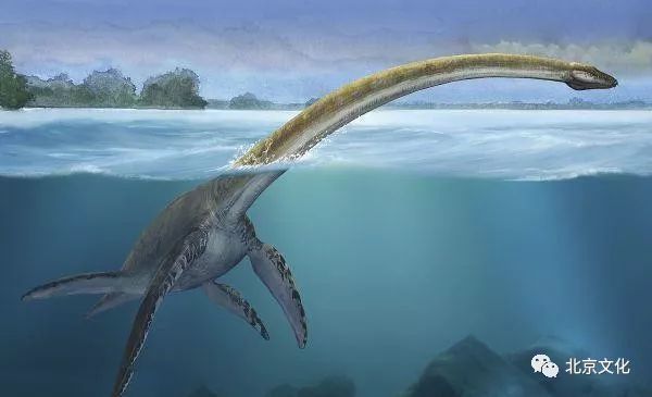 地球10大灭绝的远古海洋巨兽,第一沧龙,第二龙王鲸,第