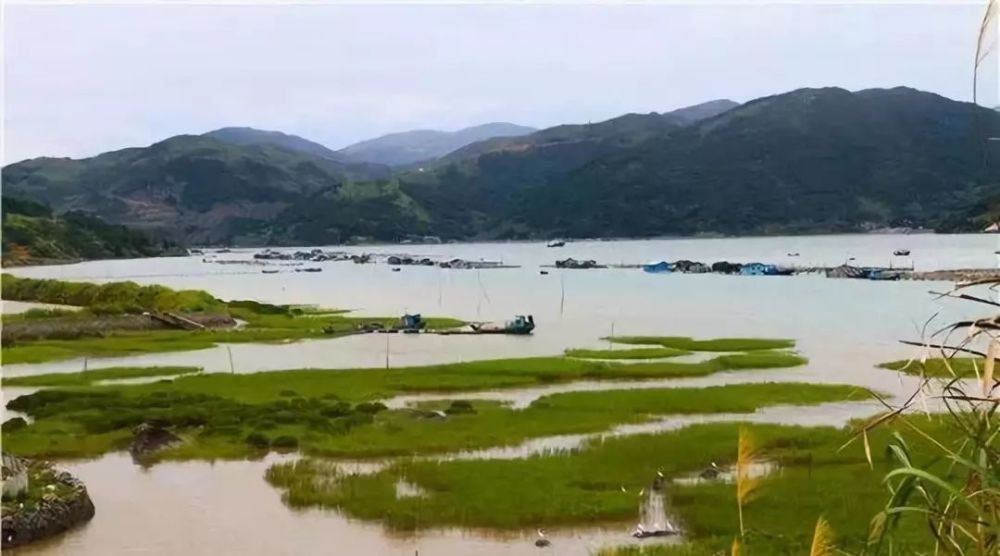 一起走进福鼎龙安