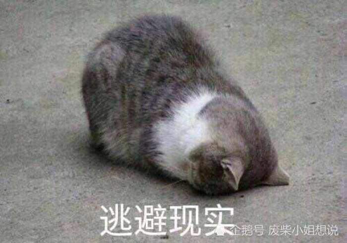 过分陷入虚拟世界,逃避现实世界,只会将二者之间距离模糊不清.