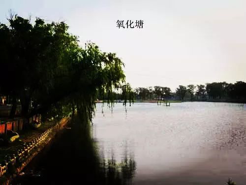 山台村人口_人口普查