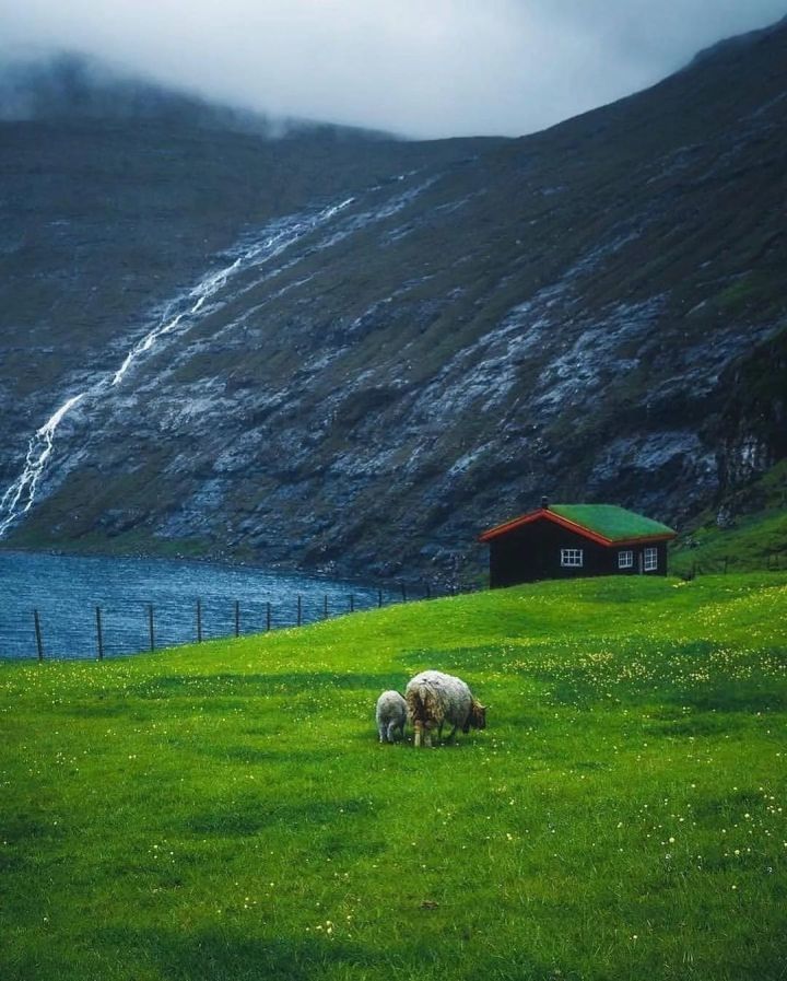 有山有水有草原,却唯独没有树,美景不输冰岛,欧洲私藏