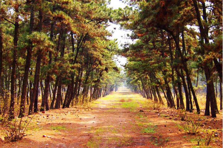 泌阳gdp在河南第几_河南泌阳东旗窖藏(3)