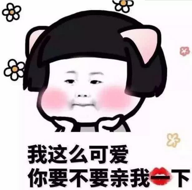"qq自动回复"专用句,每一条都"超炫酷",秀儿:马上安排!