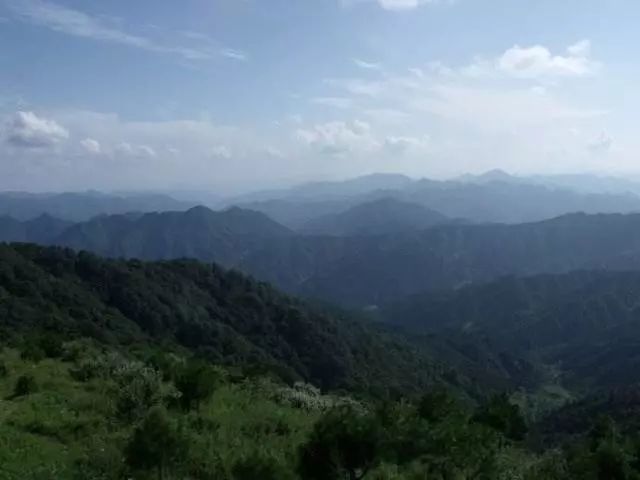 杨斜镇人口_人口普查(3)
