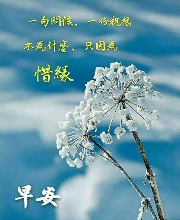 早安短信问候最新版图片,最美早上好问候语祝福表情图片