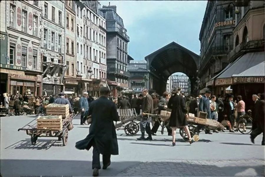 法国1940gdp_法国斗牛犬