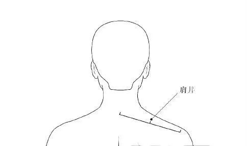 【位置】位于肩背处,肩膀与颈部连线的行点处.
