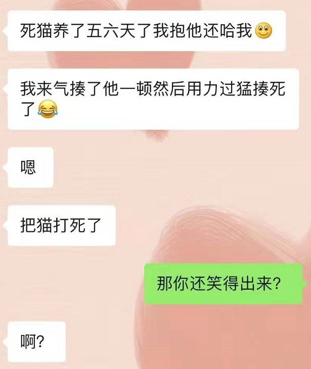 猫不听话,就一巴掌呼死它!你真的适合当个铲屎官吗?