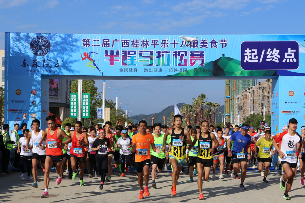 桂林市平乐县2019年GDP_桂林市平乐县二塘工业(3)