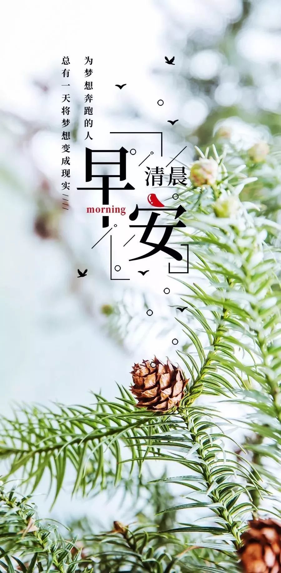 07月07 早安你好|新的一天 加油!