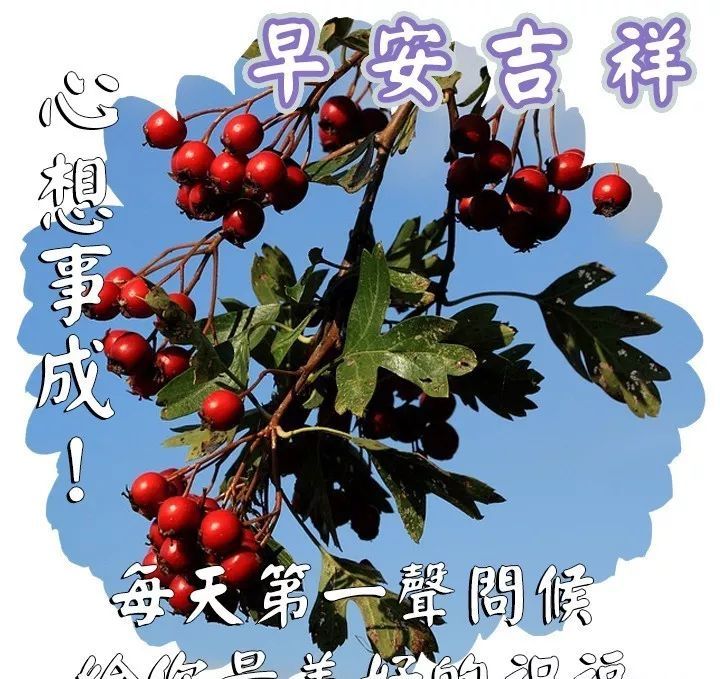 超级温馨早安祝福语表情动态图片,2021早上好唯美动画