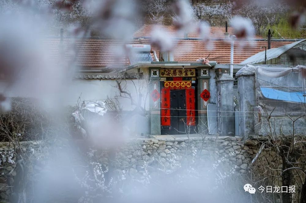 庵夼村不大,全村只有100多户,因为庵夼泉水,让小山村远近闻名.
