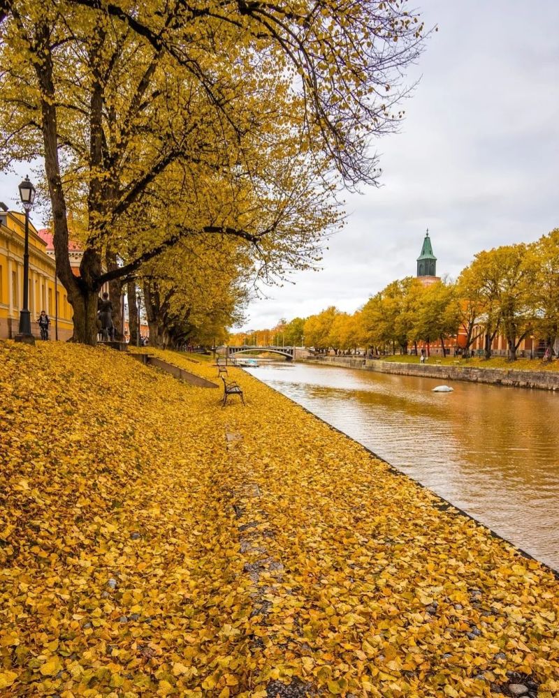 北半球的秋天是什么神仙颜值,张张可以做手机壁纸