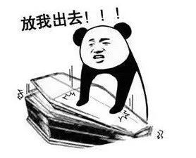 快放我出去,熊猫头棺材板儿表情包