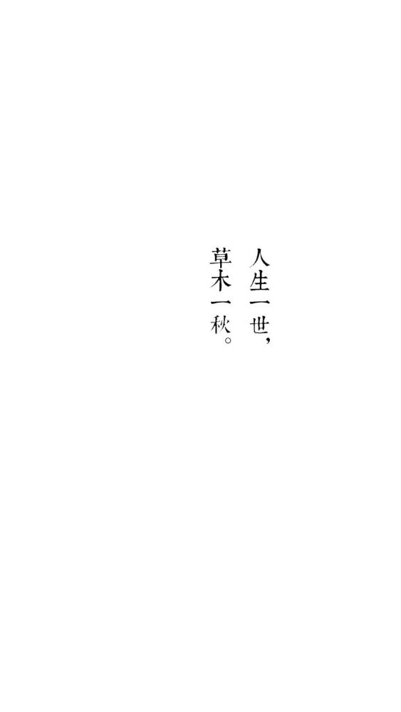 抖音热门文字控壁纸精选