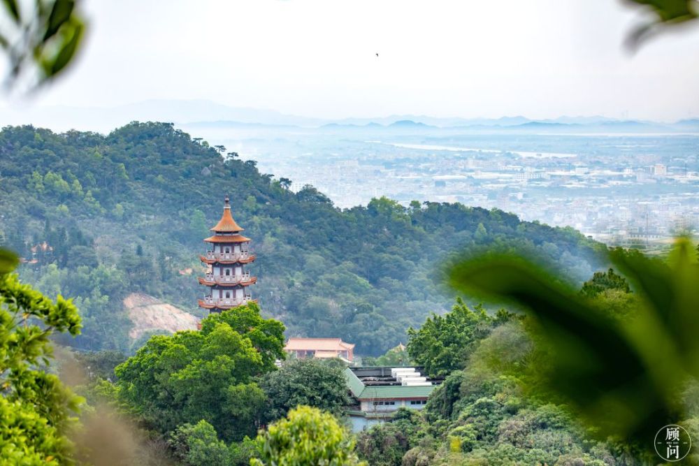 情迷澄海塔山,不只口腹之欲