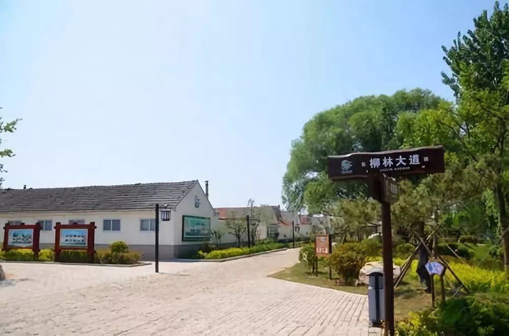 即墨区龙泉街道柳林村美丽村居建设试点方案曝光