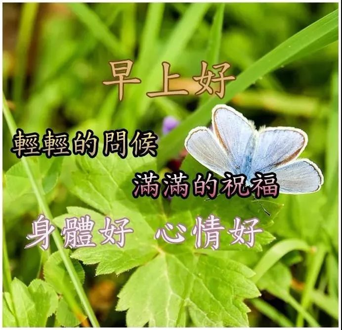 2021年吉祥好运图片早上好 早安吉祥祝福语最新精选图片