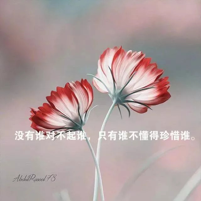 人生感悟哲理经典句子,字字透彻