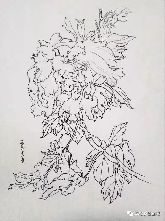 兰花的纺织布绘:七彩丹霞 狼图腾的钢笔速写 霸王花的色粉画:风景