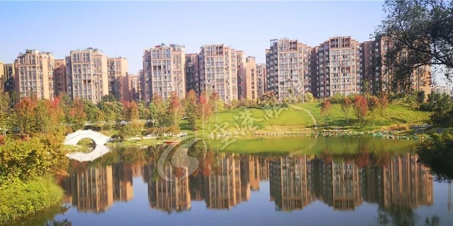 空港中央公园目前已建成3400亩 凤翔湖,凤舞湖,凤转湖 凤栖湖和芙蓉海
